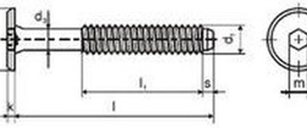 šroub M6x100 BRONZ nábytkářský 17mm hlava Firma Killich s.r.o. nabízí ve svém nábytkářském programu nábytkářský šroub. V sortimentu nábytkářských šroubů jsou šrouby ocelové